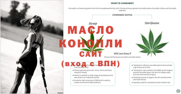гидропоника Каменка