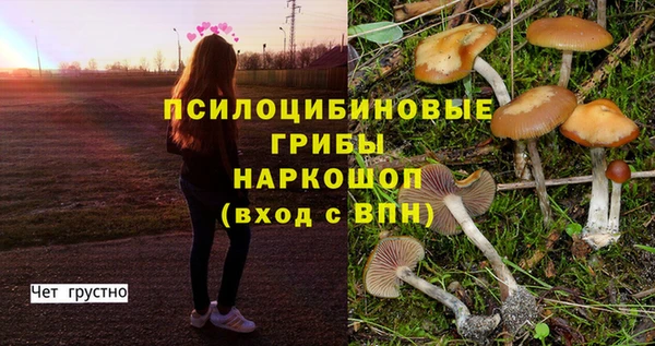 бошки Горняк