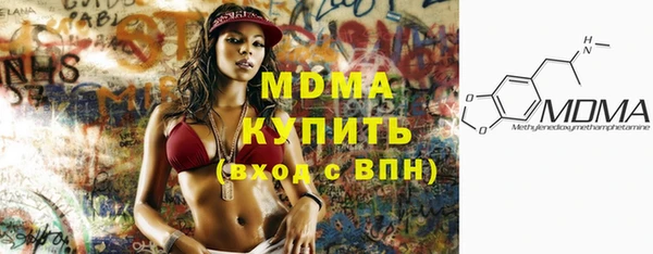 индика Горнозаводск