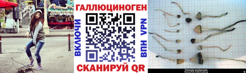 купить закладку Лакинск Галлюциногенные грибы мухоморы